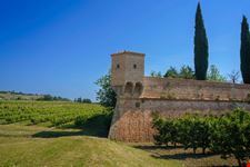 Terra Del Sole